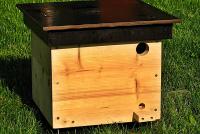 čmelín Zelená domácnost malé foto