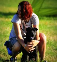 Kříženec šarpeje a pudla - Alvin Kříženec šarpeje a pudla - Alvin