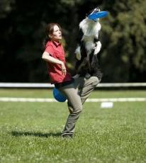 psí sporty - Dogfrisbee - foto: Pes Jíra