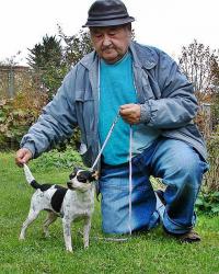 turský harlekýn - foto: Vlastislav Martínek turský harlekýn - foto: Vlastislav Martínek