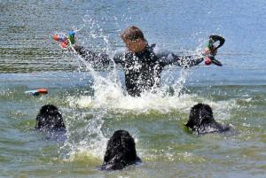 novofundlandský pes - foto: Radek Fiala novofundlandský pes - foto: Radek Fiala