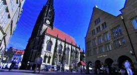 morče domácí - sociální pravidla