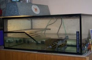 oskarka Romana Kastlová