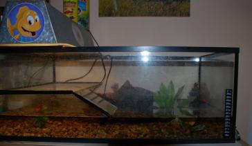 oskarka Romana Kastlová