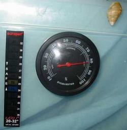 Achatina fulica Eva Heinová