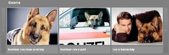 foto galerie foto galerie