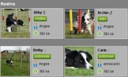 virtuální rodokmen - border kolie Carin , 3 roky, ♀ - chovatel: annacarin